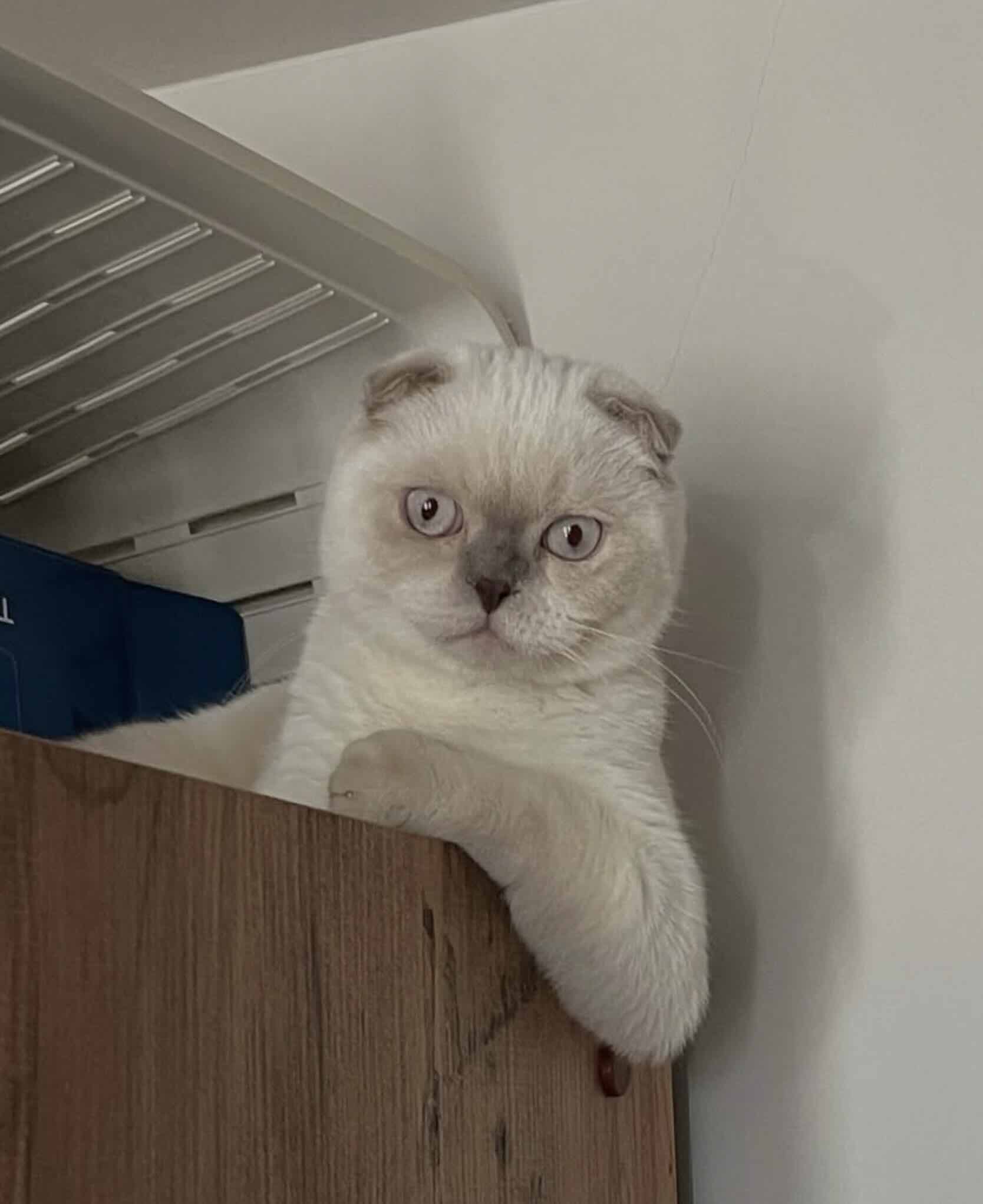 Terk Edilme Korkusu Şimdiki Zamandan Başlamaz